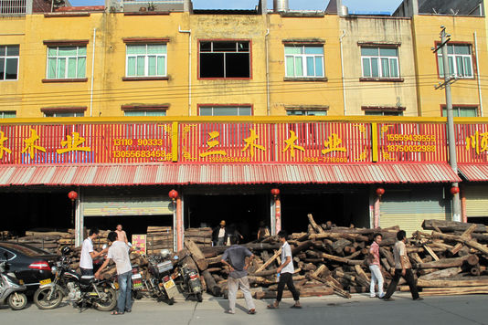 La "rue du bois" de Xianyou est une enfilade de petits entrepôts proposant des bois précieux venant d'Asie et de quelques pays d'Afrique comme le Mozambique ou la Tanzanie. Le bois de rose de Madagascar n'y est pas vendu.